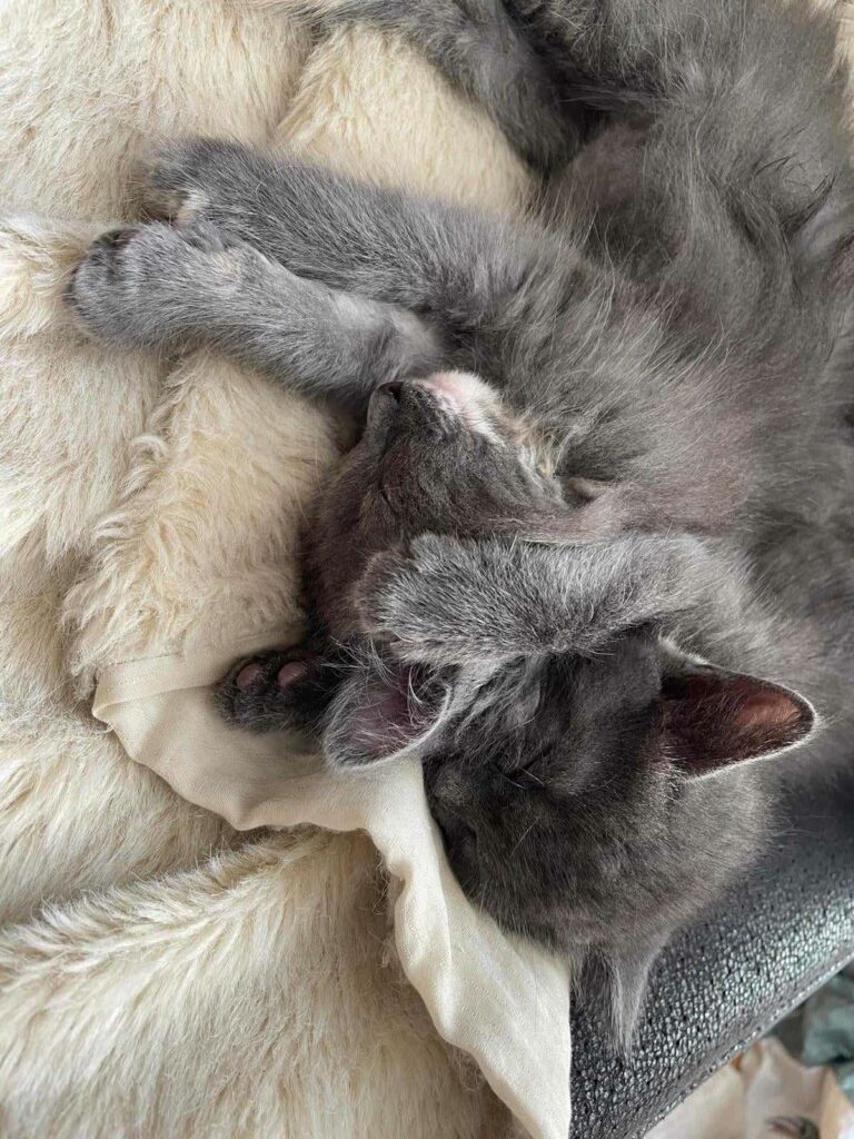 Shoji et Yumi se faisant un calin