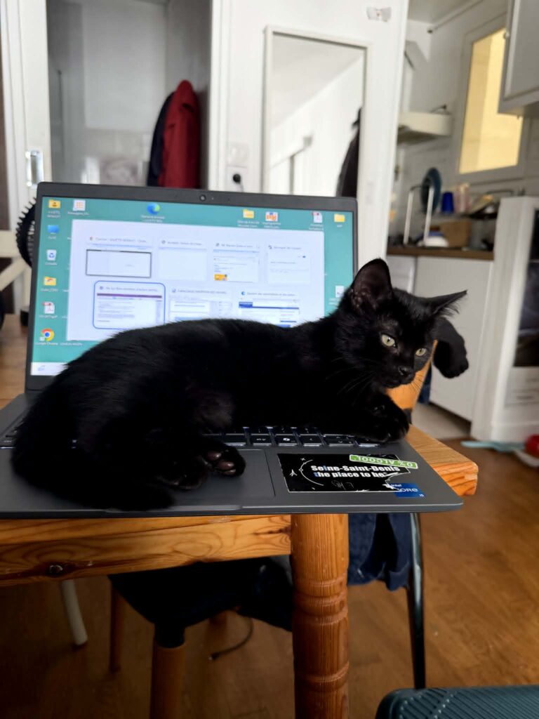 Colette couchée sur un pc portable