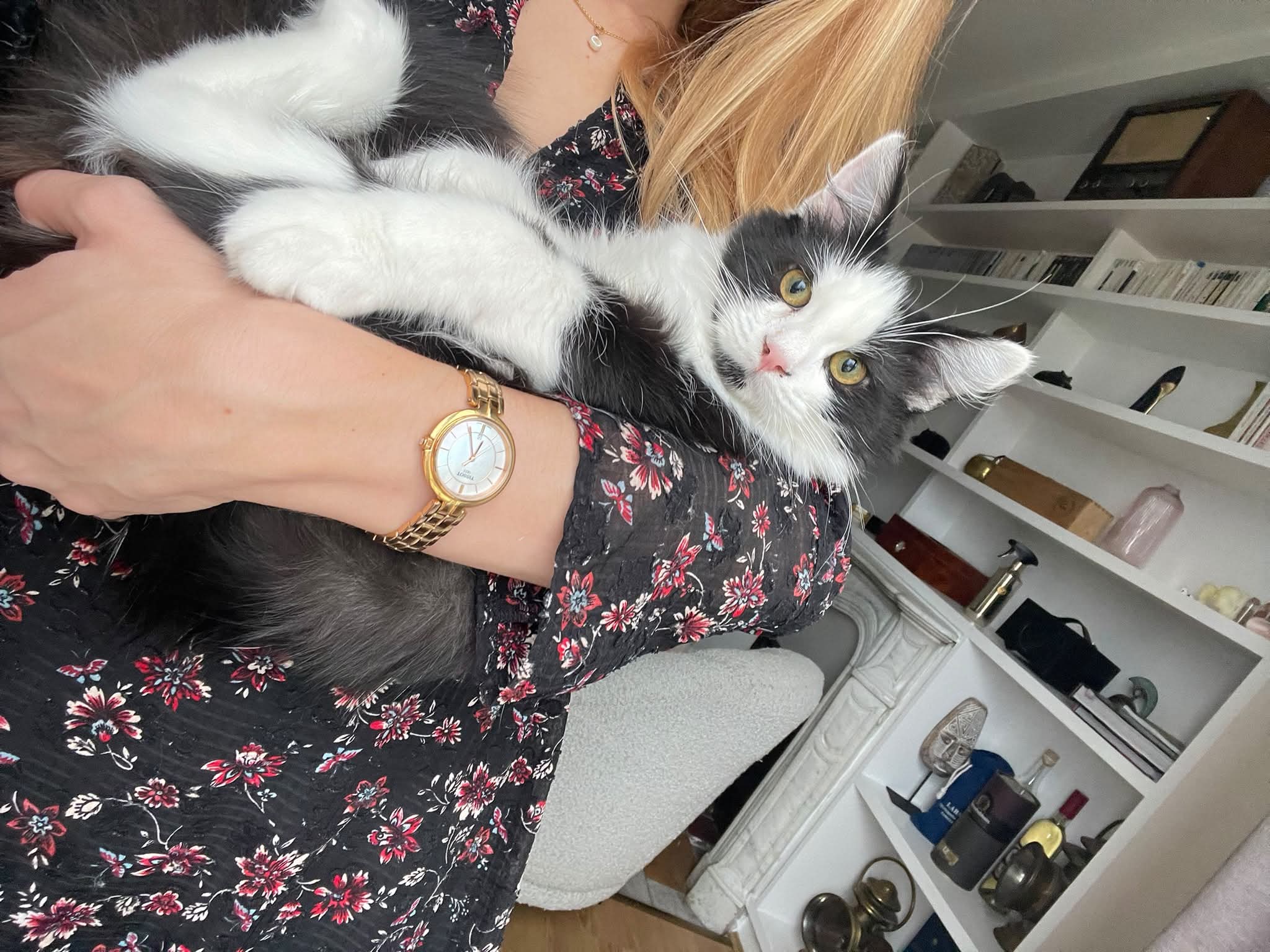 Photo du chat